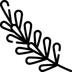 Família Olfativa